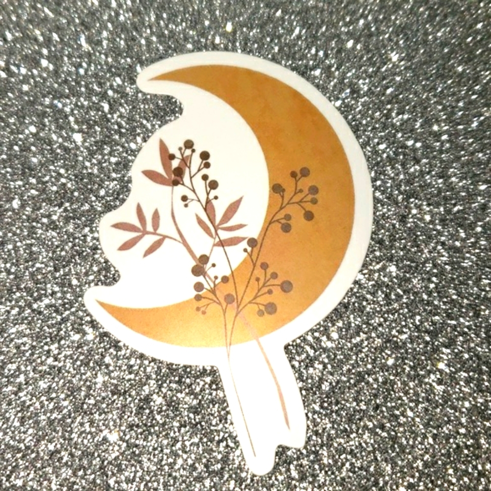 10/$10 CELESTIAL waterproof Sticker Moon